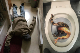 Xỉu ngang với những 'cú lừa thế kỷ' được bày ra trong ngày Cá tháng Tư