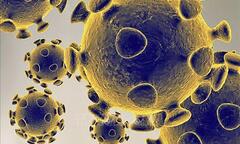 TP.HCM chưa ghi nhận biến thể mới XE của virus SARS-CoV-2