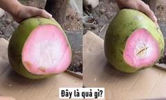 Đây là quả gì?