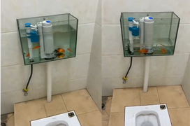 Toilet tự chế với bồn nước chứa vật khó tin, kết quả khi nhấn xả gây xôn xao