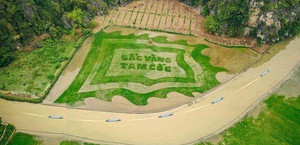 Hang Múa và lá cờ khổng lồ 'Sắc vàng Tam Cốc' hút bạn trẻ dịp nghỉ lễ 10/3