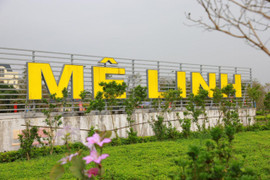 Huyện Mê Linh công bố đường dây nóng phản ánh vi phạm đất đai, trật tự xây dựng