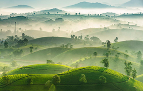 Phú Thọ - Triển vọng cất cánh cùng ngành công nghiệp không khói