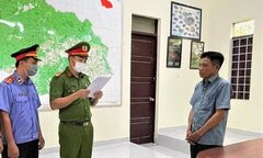Nhận hối lộ, làm ngơ cho 'lâm tặc' phá rừng, 2 cán bộ kiểm lâm lĩnh án 