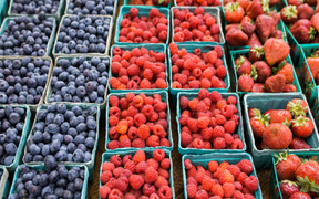 Top 13 thực phẩm chống viêm nhiễm tốt nhất mà bạn nên ăn