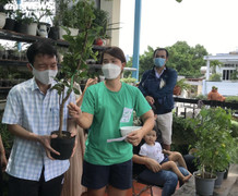 Cửa hàng cây 0 đồng ở TP.HCM, ai thích có thể đến lấy miễn phí