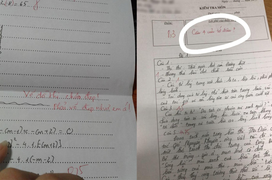 Chìm trong 'bể muối' của giáo viên với các lời phê bình hài hước phát ngất