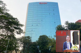 'Ông lớn' GELEX kinh doanh thế nào?
