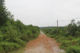 Mua đám đất hoang giữa cơn sốt, người đổi đời, kẻ trắng tay 