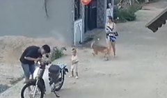 Cô gái xinh đẹp bị chó tông ngã dập 'bàn tọa'