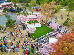 Điểm du lịch ngay dưới thềm nhà của cư dân 'Thành phố Tây' Vinhomes Smart City