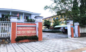 Nhận hối lộ, nguyên Chi cục trưởng Chi cục Thủy sản Quảng Nam lĩnh án