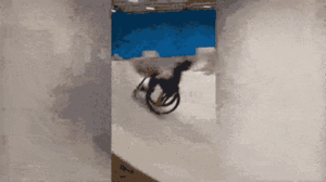 Video: Kinh ngạc pha lộn ngược trên xe lăn của cậu bé khuyết tật