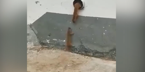 'Sứt đầu mẻ trán' khi được bạn giúp đỡ