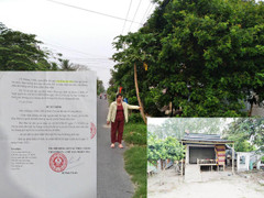 Vi phạm thủ tục tố tụng trong vụ kiện tranh chấp đất kéo dài ở An Giang