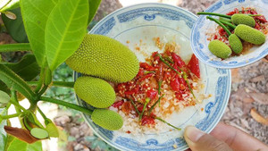 Món quà vặt của tuổi thơ vừa chua vừa chát nhưng ăn đến đâu hạnh phúc đến đó