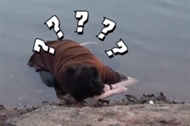 Người dân tá hỏa phát hiện vật thể lạ trên sông và cái kết dở khóc dở cười