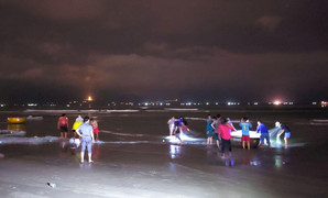 Tắm biển sớm, một hiệu trưởng ở Đà Nẵng bị sóng cuốn