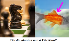 10 giây, đố bạn đoán ra đây là tên địa phương nào ở Việt Nam?