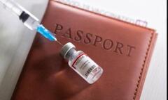 Làm sao để biết đã được cấp hộ chiếu vaccine hay chưa?
