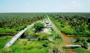 Về Cà Mau trải nghiệm du lịch xanh, đi bộ xuyên rừng U Minh hạ