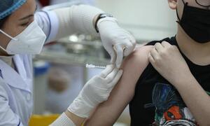 Khoảng 1,3 triệu người Việt đã được cấp hộ chiếu vaccine