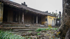 Video: Ngôi chùa cổ gần 700 tuổi 'chờ sập' ở Hà Nội