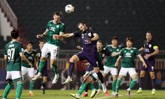 HLV Corica: 'Yokohama F. Marinos rất mạnh, Sydney FC phải tận dụng cơ hội'