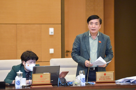 Cử tri quan tâm việc xử lý một số đại gia, quan chức cấp thứ trưởng