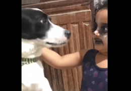 Cười lăn xem bé gái tự vẽ mặt cho giống chó cưng