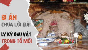 Video: Lời đồn có báu vật nằm trong tổ mối tại chùa Tác Đức