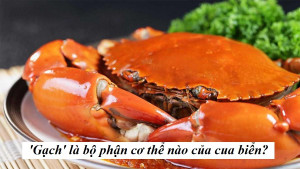 Đố bạn gạch cua thực chất là bộ phận cơ thể nào?