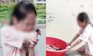 Con gái 11 tuổi muốn bỏ học, bố cho ra đồng phơi nắng suốt 4 tiếng để đào củ sen