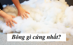 Đố bạn: Bông gì cứng nhất?