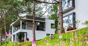 Homestay ven Hà Nội 'cháy' phòng, dân thuê đồ cắm trại giữa trời