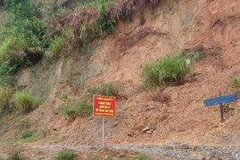 Quảng Nam lý giải nguyên nhân giảm 2.850 ha rừng tự nhiên trong một năm