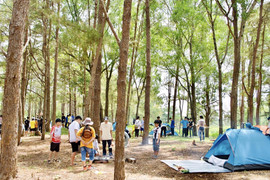 Ngại cảnh ồn ã phố thị, du khách chọn cắm trại vùng ven dịp nghỉ lễ