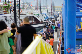 Quảng Ninh tạm dừng cho tàu du lịch ra vịnh 