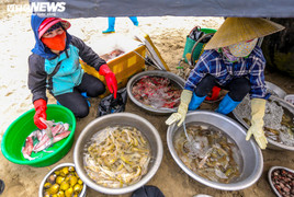 Ảnh: Hải sản biển Sầm Sơn hút khách mùa du lịch