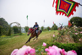 Chiến mã Tây Bắc tung vó giữa vườn hoa hồng tại 'Vó ngựa trên mây'