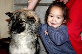 Bé gái 3 tuổi từng sống sót thần kỳ sau 12 ngày bị lạc trong rừng đầy gấu và sói