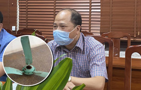 Quạt trần rơi trúng người, học sinh phải nhập viện