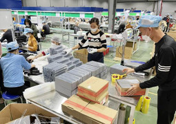 Doanh nghiệp thành lập mới tăng kỷ lục