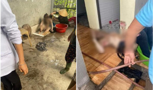 Mâu thuẫn gia đình, chồng đổ xăng đốt phòng ngủ khiến 3 người bị thương