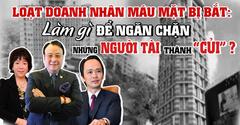 Loạt doanh nhân máu mặt bị bắt: Làm gì để ngăn chặn những người tài thành 'củi'?