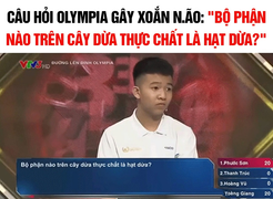 Bộ phận nào trên cây dừa thực chất là hạt dừa?