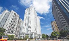 800 sàn bất động sản hoạt động trở lại, xuất hiện thổi giá, gây sốt ảo