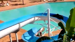 Video: Bò trốn khỏi lò mổ, ra công viên chơi cầu trượt 