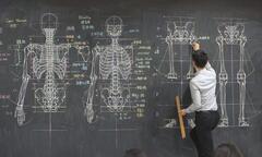 Mê vẽ giải phẫu cơ thể người trên bảng, nam giáo viên bất ngờ nổi tiếng như cồn
