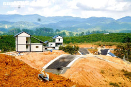 Lâm Đồng: Cần thời gian điều tra nạn hiến đất làm đường, phân lô tách thửa